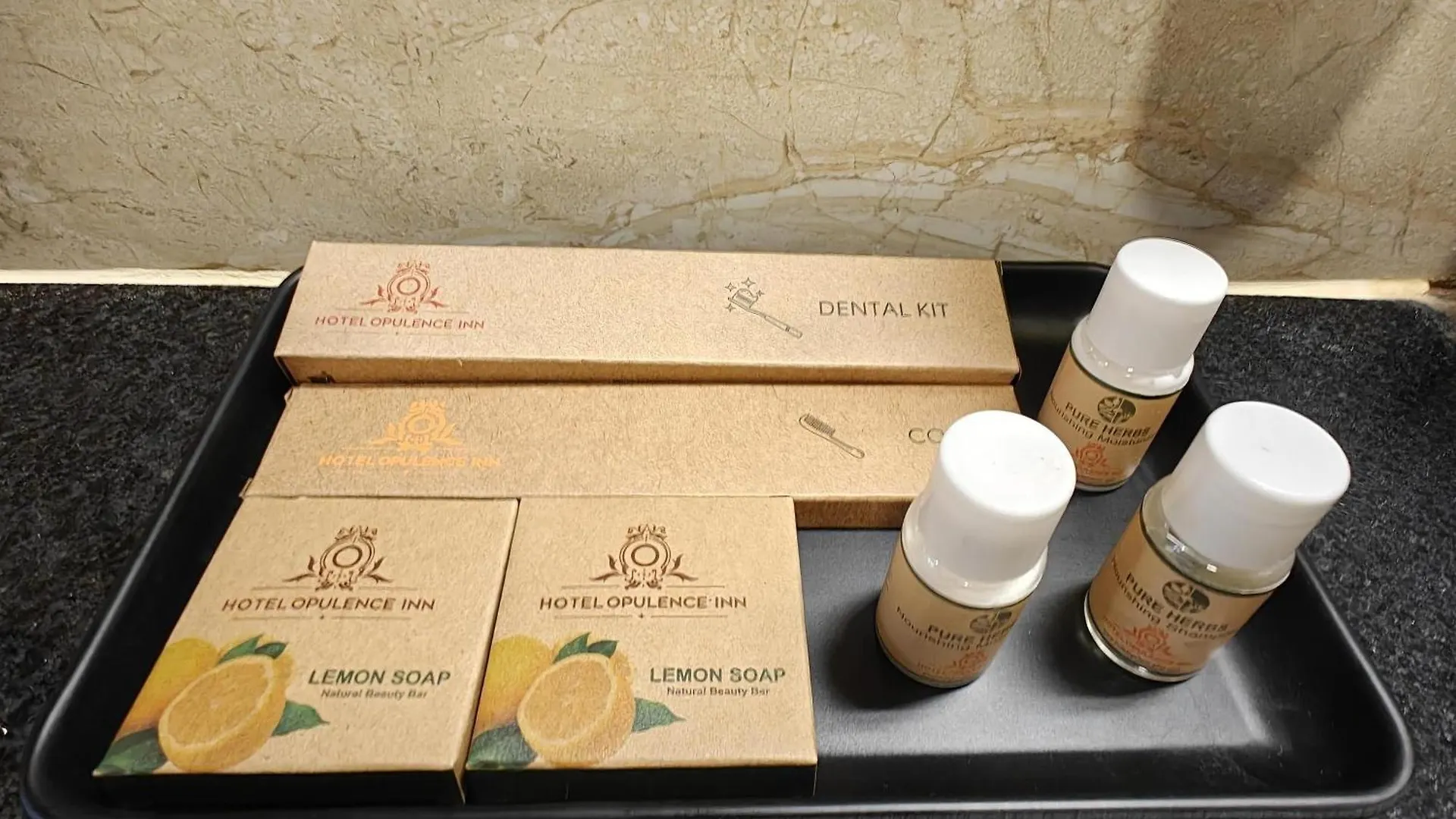 Opulence Inn - 500 Meters From Railway Station Udaipur Hotel