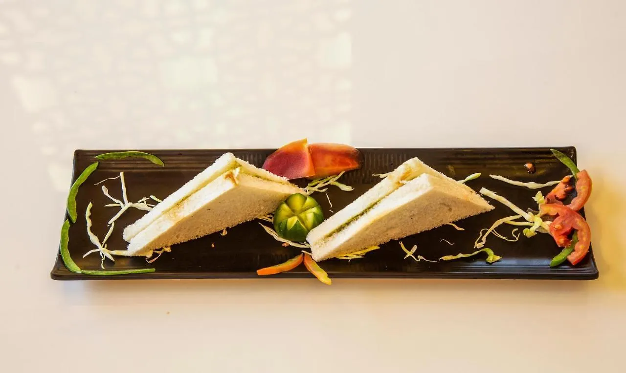 Hotel Opulence Inn - 500 Meters From Railway Station Udaipur